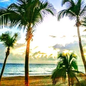 Meet your Posher, Tina